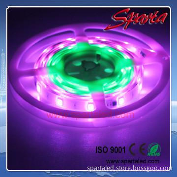 24 Volt LED Rope Light Flat 4-Wire Multi-Color